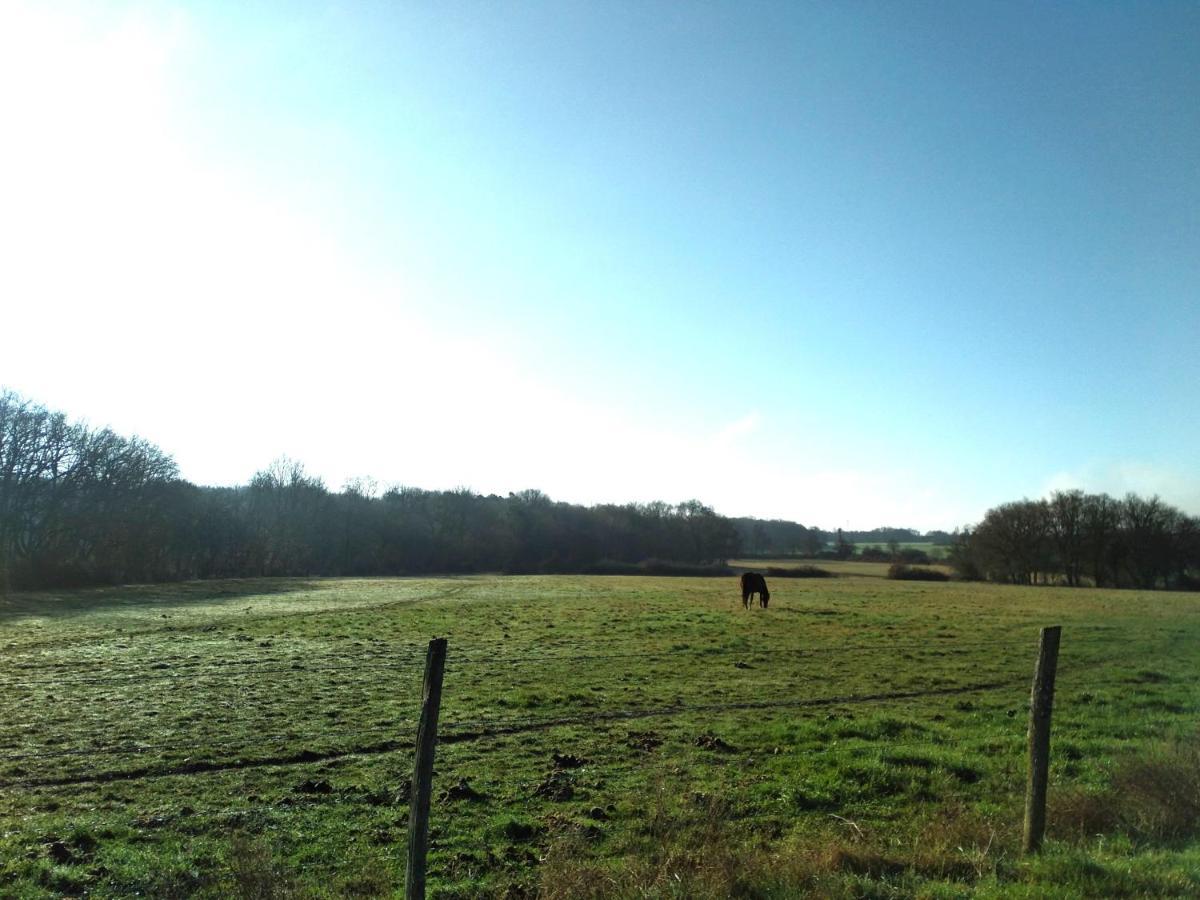 Chalets Mouliere Evasion Montamisé エクステリア 写真