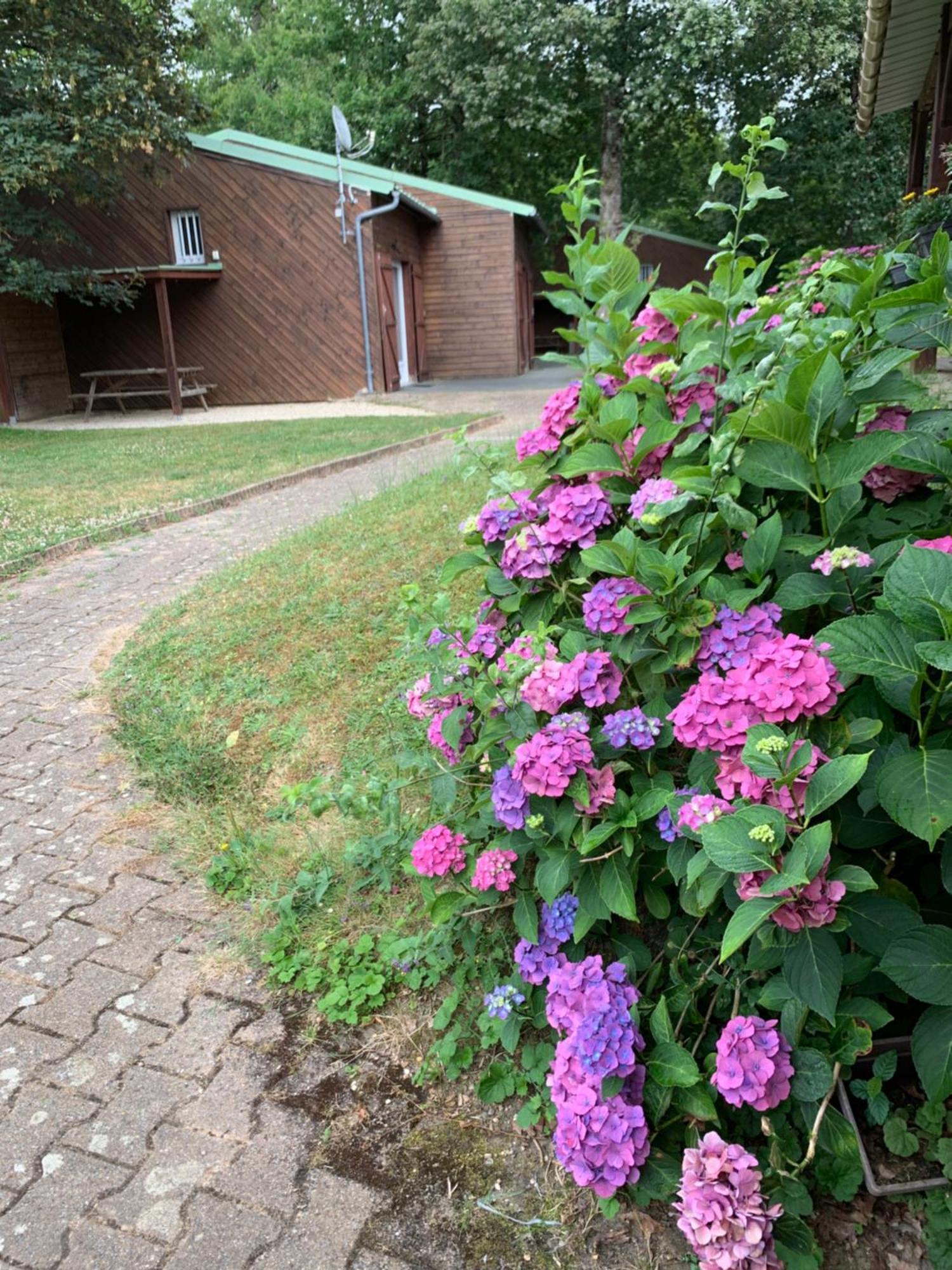 Chalets Mouliere Evasion Montamisé エクステリア 写真