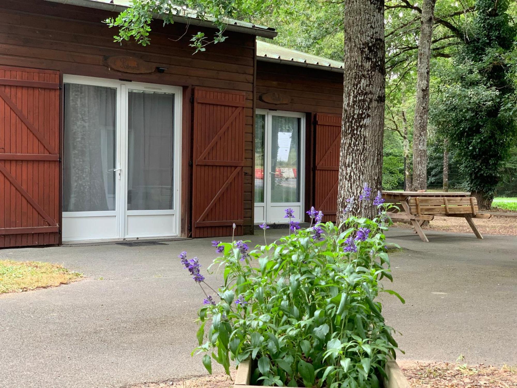 Chalets Mouliere Evasion Montamisé エクステリア 写真