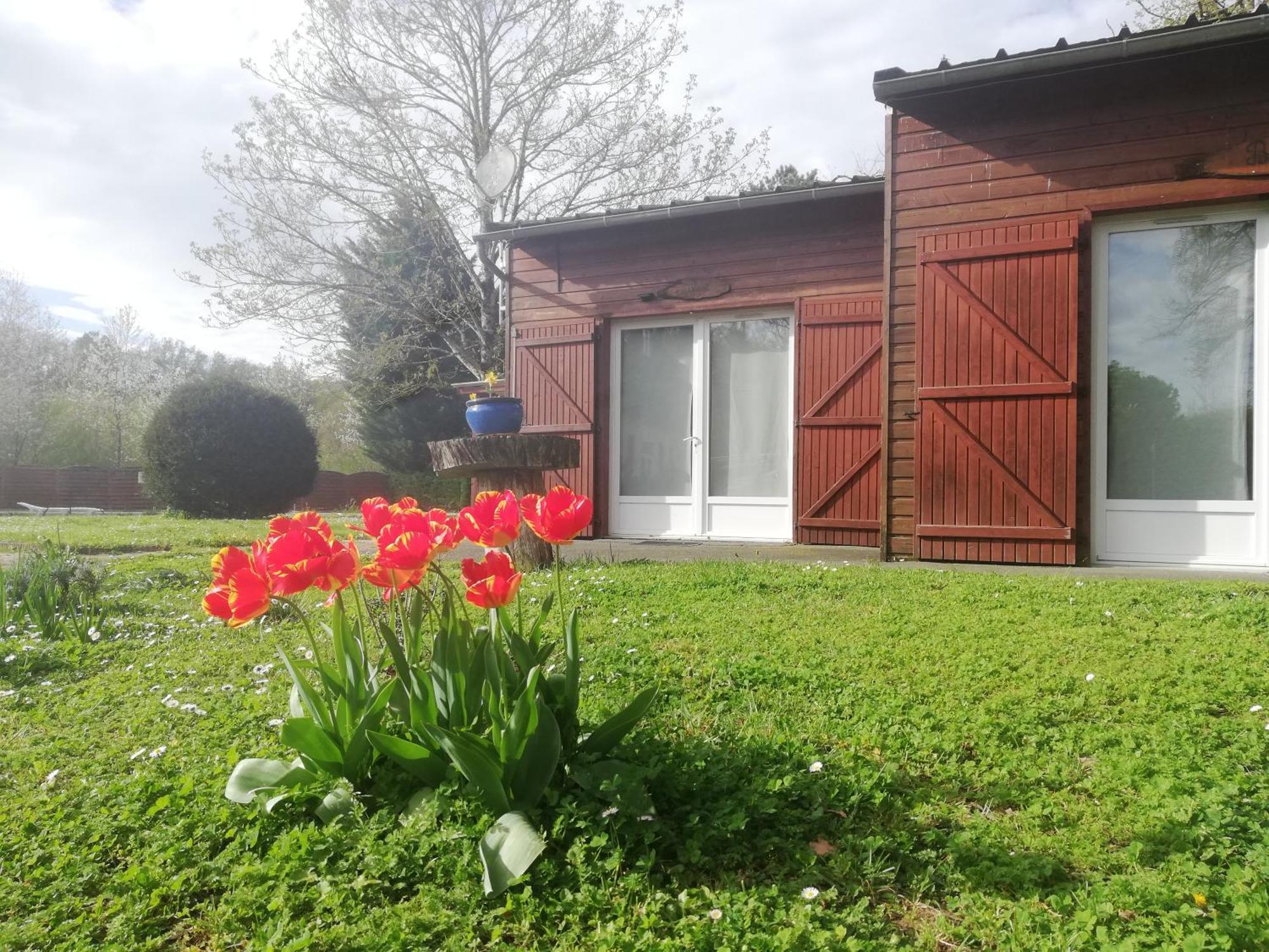 Chalets Mouliere Evasion Montamisé エクステリア 写真