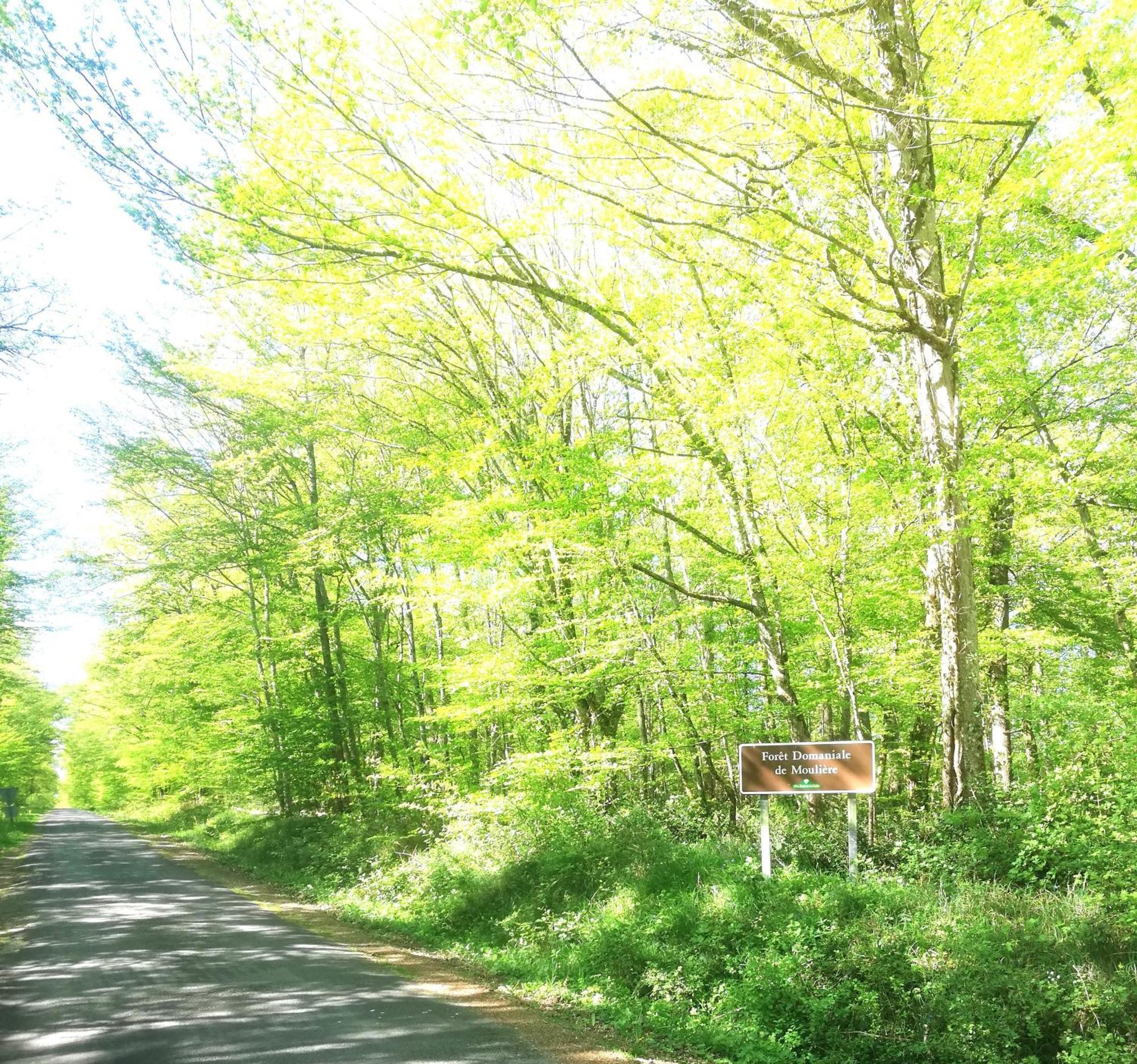 Chalets Mouliere Evasion Montamisé エクステリア 写真