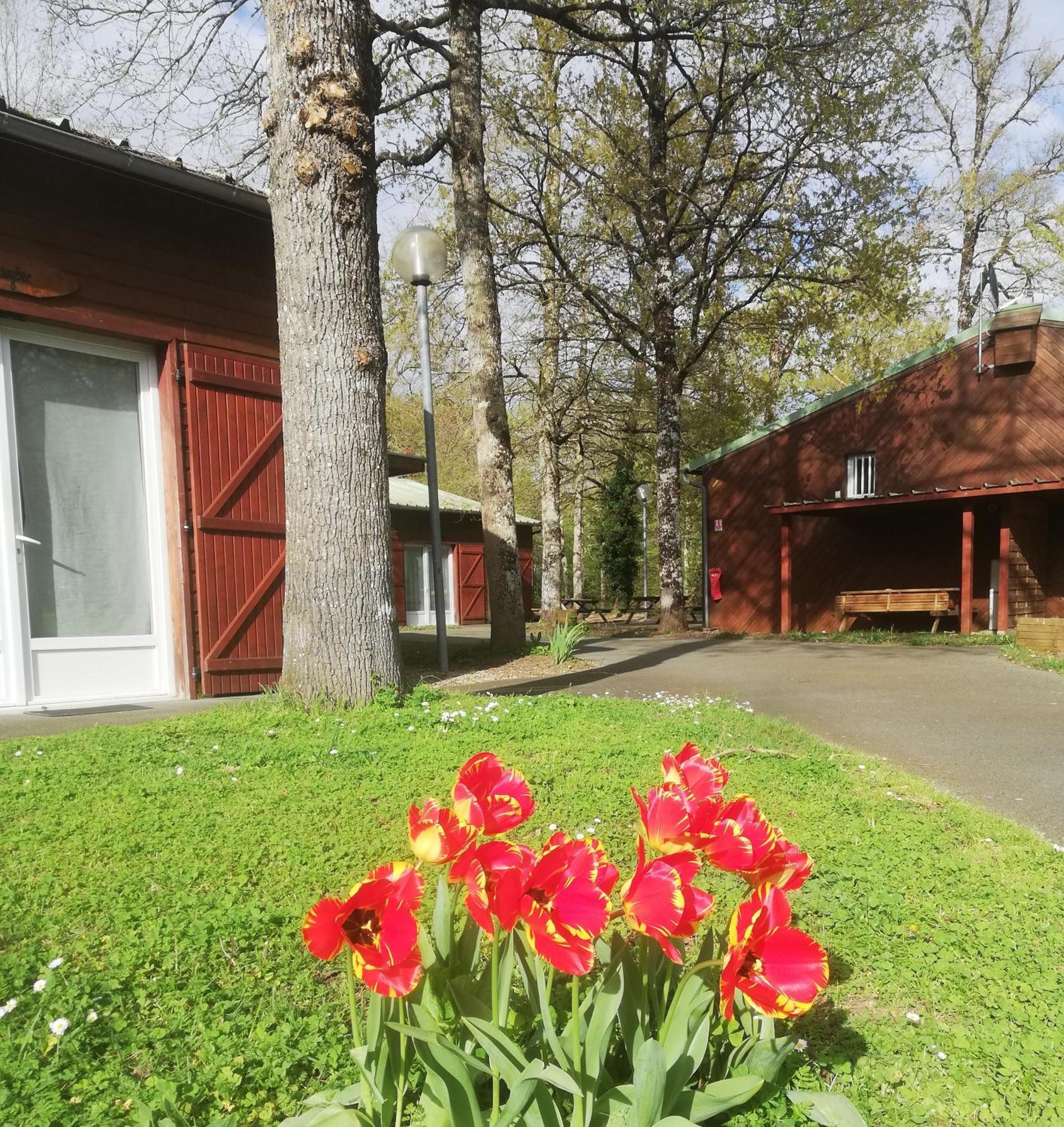 Chalets Mouliere Evasion Montamisé エクステリア 写真